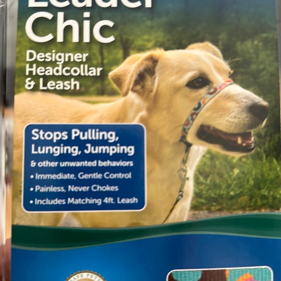 TWO matching Gentle leader chic, DONUTS head collar and leash, size Medium. - Picture 5 of 7